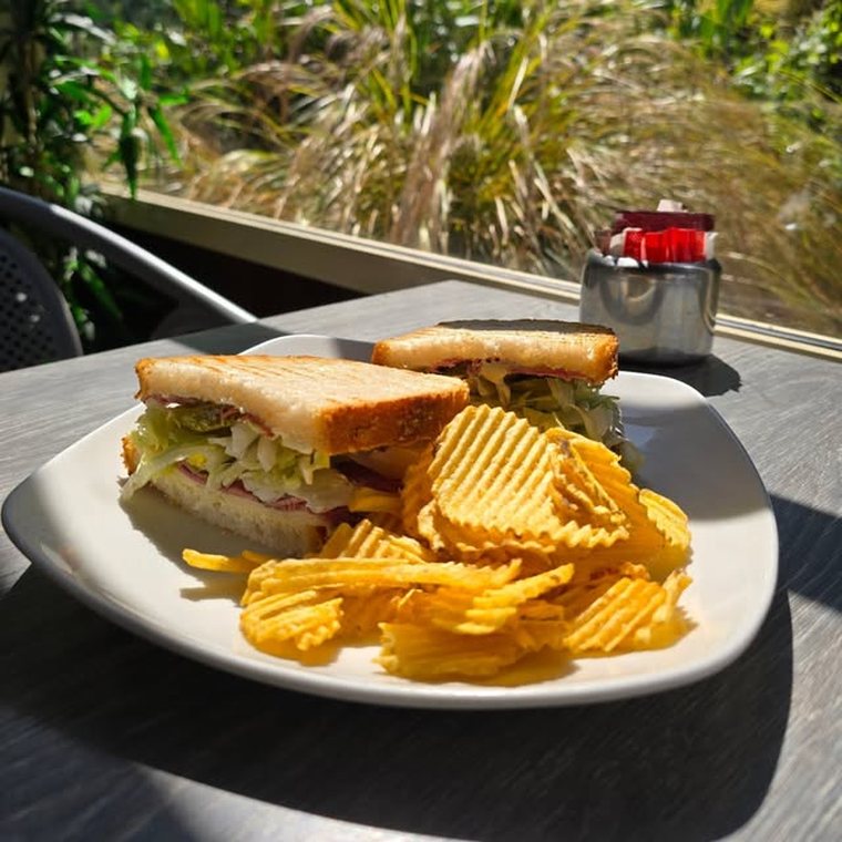 A club sandwich cut into triangles with a pile of crisps, on a table by the window.