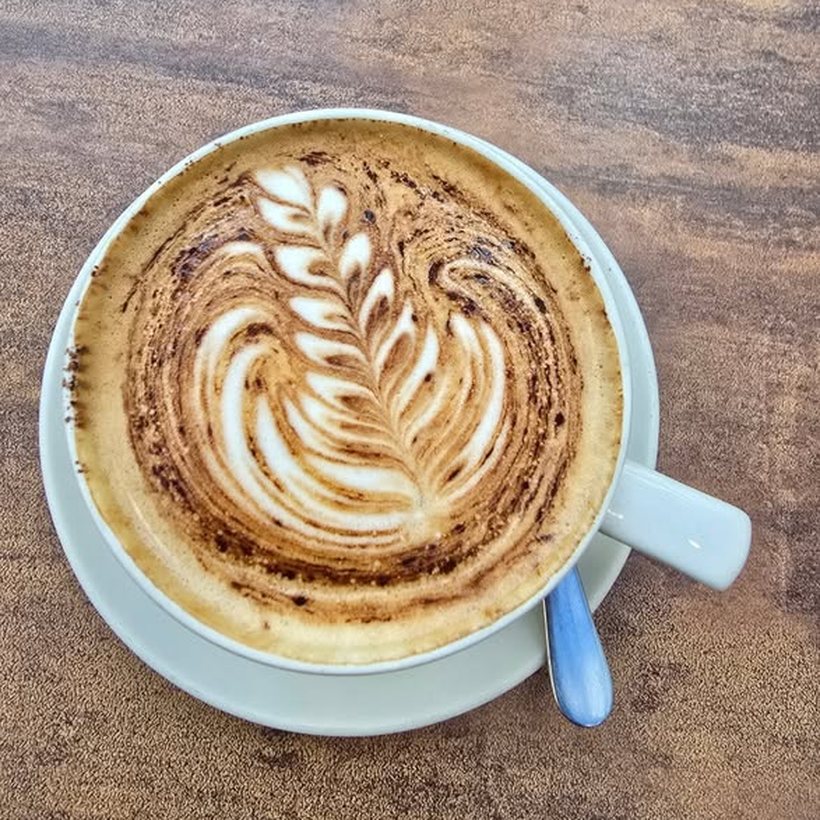 A cappuccino at Cates Café with a fern poured into the crema.